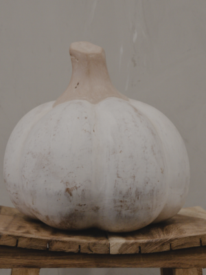 CALABAZA P04